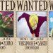 Bounty Of Zoro, Sanji, Jinbe