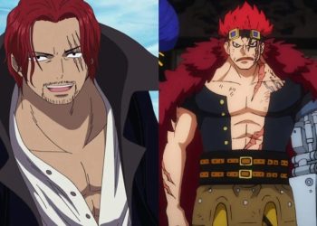 One Piece 1079