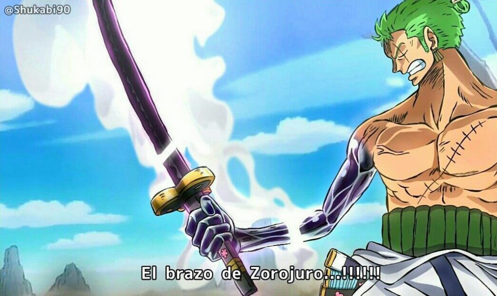 One Piece Manga 1001